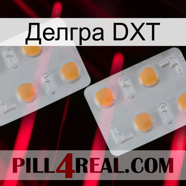 Делгра DXT 25.jpg